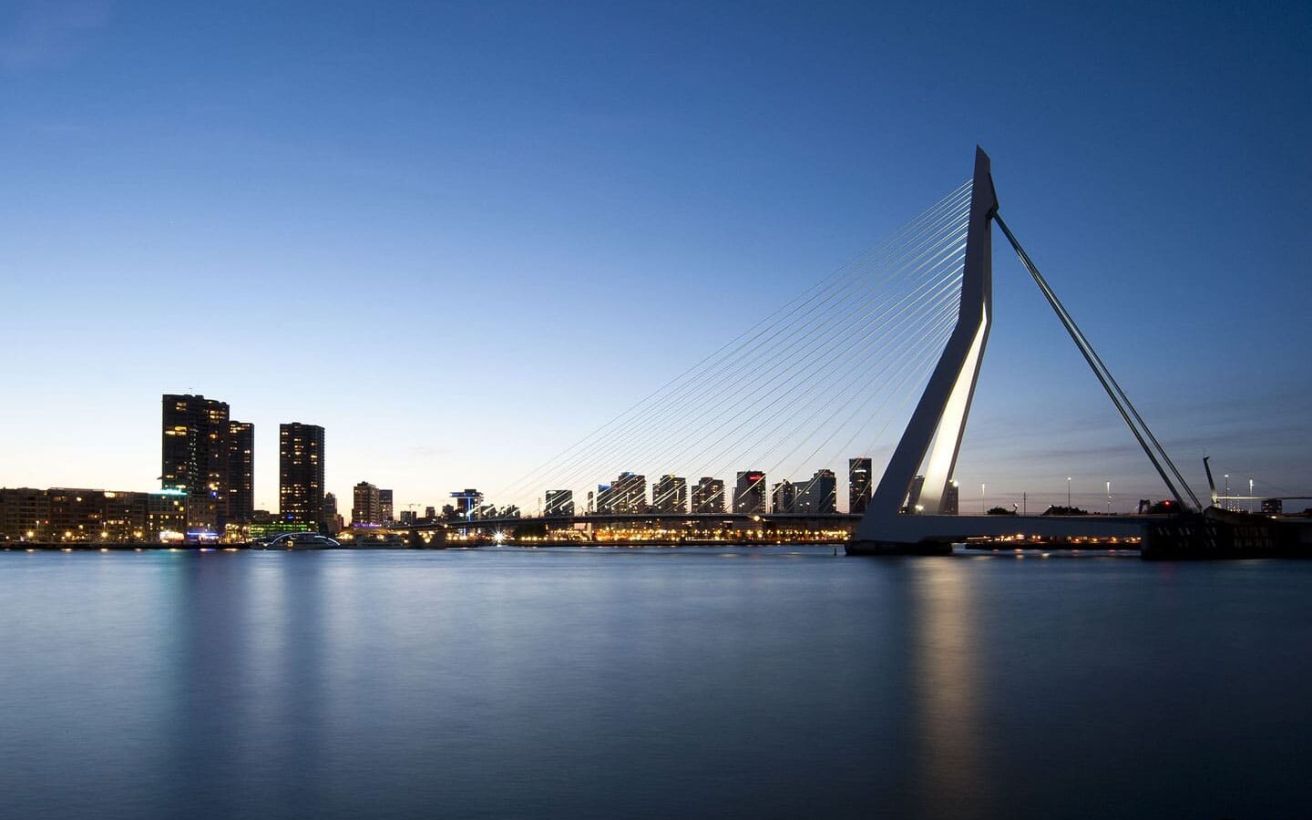 Ponte Erasmus em Rotterdam Ponte Erasmus em Rotterdam
