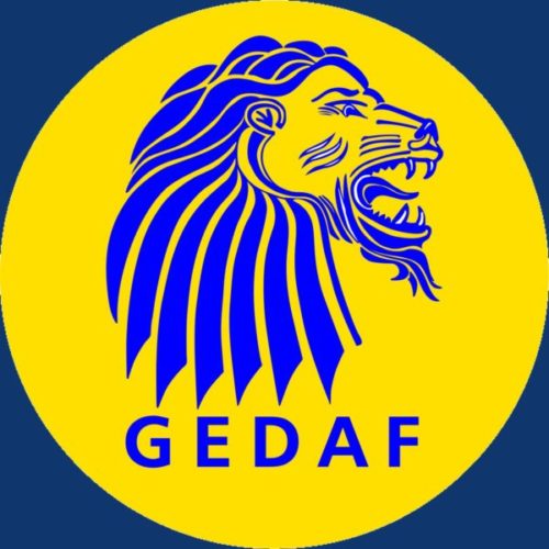 Organizador GEDAF Finanças & Empreendedores - Institucional