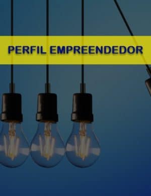 Análise do Perfil Empreendedor R1 (GEDAF, 2020)